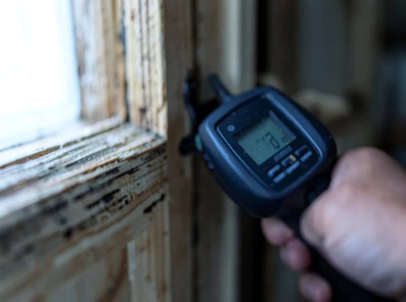 Moisture Inspection And Documentation in Kipnuk, AK